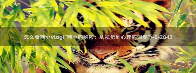 糖心vioh：怎么看糖心vlog(\