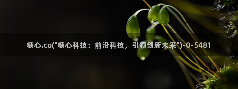 糖心vlol