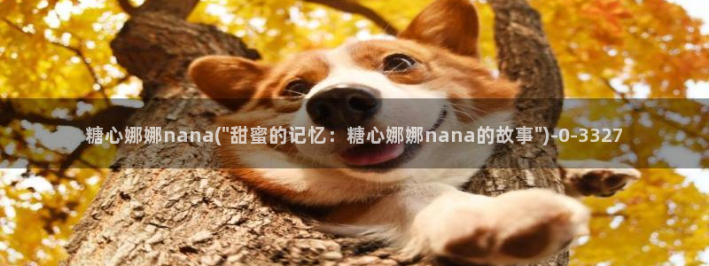 糖心日常